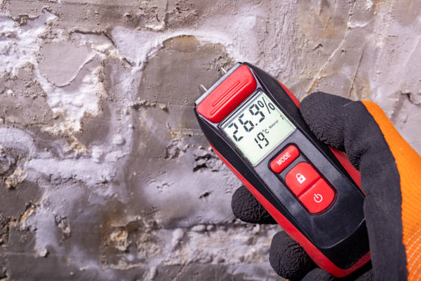 Best Best Mold Removal Companies  in Naples Manor, FL