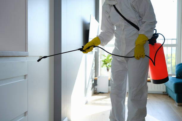 Best Mold Removal Company Near Me  in Naples Manor, FL