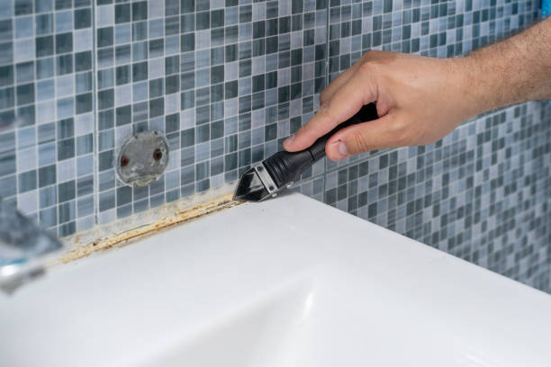 Best Attic Mold Removal  in Naples Manor, FL