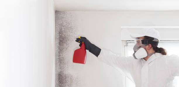 Crawl Space Mold Removal in Naples Manor, FL